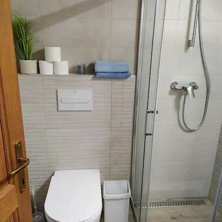 Bodo Haz Денешдиаш